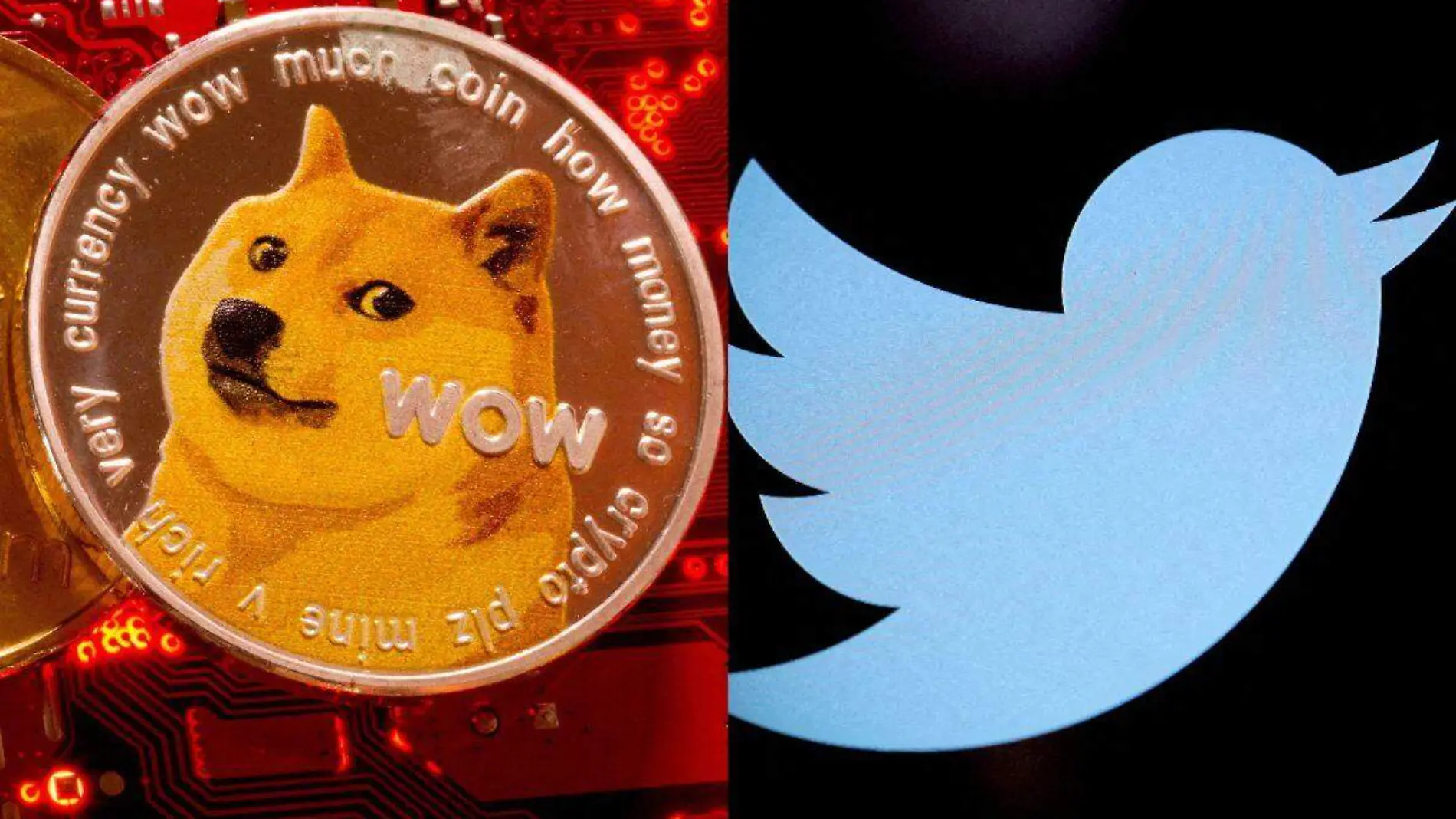 Logo de Twitter cambia por el de Dogecoin en medio de confusión de usuarios